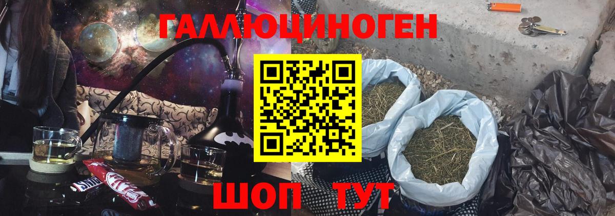 Дубна  где можно купить наркотик  Вход с VPN  Псилоцибиновые грибы мицелий 