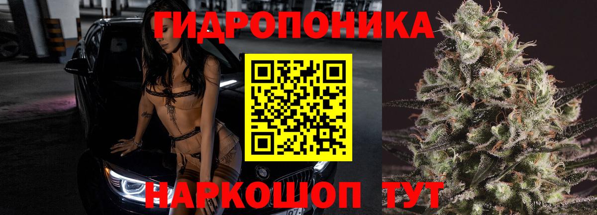 Бошки марихуана White Widow Дубна